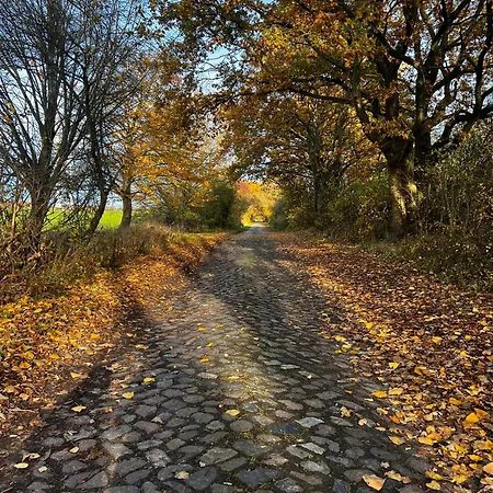 Am Storchennest - Dein Ostsee Urlaub *